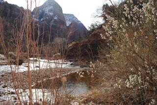 Zion National Park - Virgin River
