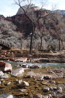 Zion National Park - Virgin River - Olga