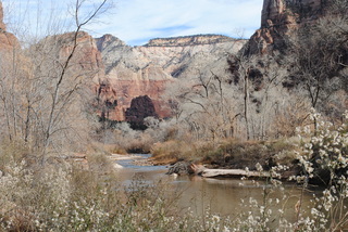 Zion National Park - Virgin River