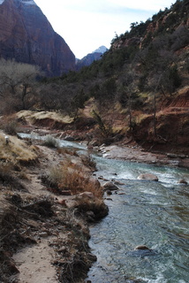 Zion National Park - Virgin River - Olga