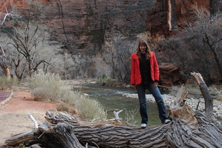 Zion National Park -  Virgin River - Olga