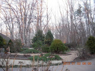 Joe's and Vicki's yard - Vicki, dog, and sheep