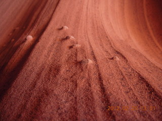 Rattlesnake Canyon nodules