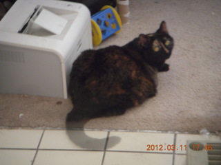 Jim's pictures - Caveman Ranch