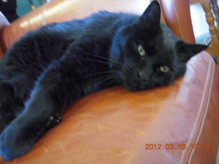 Adam after running in the cold snow at Flagstaff Airport (FLG) - ice in beard