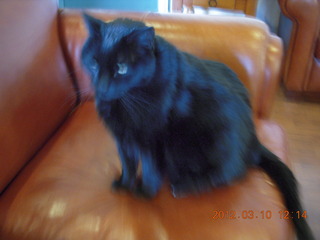 Adam after running in the cold snow at Flagstaff Airport (FLG) - ice in beard