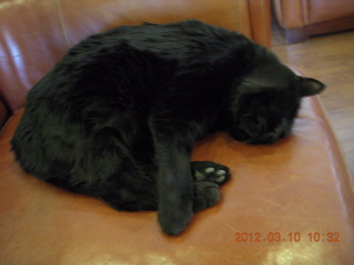 aerial - Boulders hotel resort