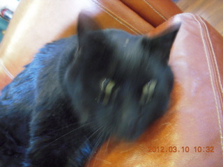 aerial - Boulders hotel resort