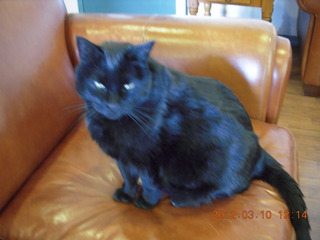 aerial - Red Creek airstrip