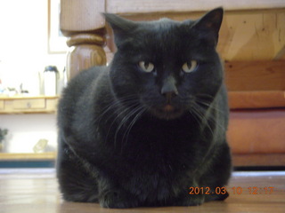 aerial - Red Creek airstrip