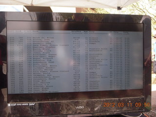 my three-legged cat Maria