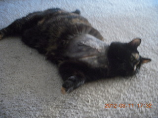 Mountain-to-fountain race - Jon Tracy