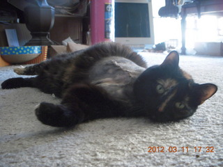 Mountain-to-fountain race - Jon Tracy