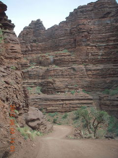 Onion Creek drive