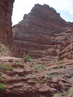 Onion Creek drive