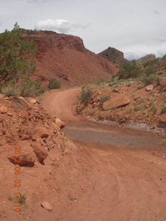 Onion Creek drive