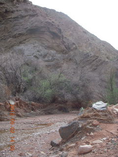 Onion Creek drive