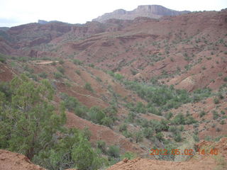 Onion Creek drive