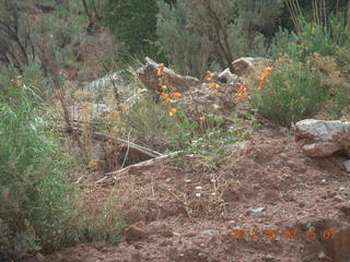 Onion Creek drive