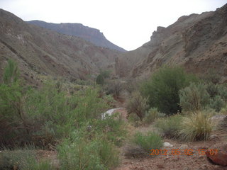 Onion Creek drive