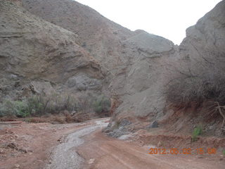 Onion Creek drive