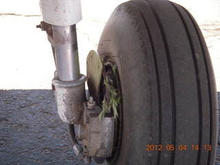 841 7x4. N8377W wheel with grass in the rim