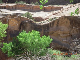Canyon de Chelly tour - D.J., our guide