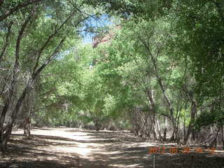 Canyon de Chelly tour - bridge