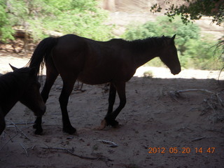 Canyon de Chelly tour