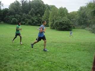 Cheltenham XC race