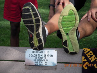 Cheltenham XC race