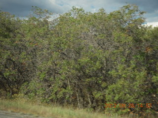 23 81u. drive from Durango to Mesa Verde National Park