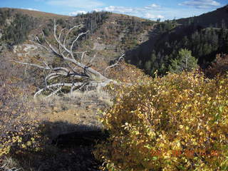 Mesa Verde National Park