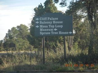 Mesa Verde National Park - flowers