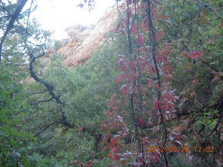 111 81u. Mesa Verde National Park