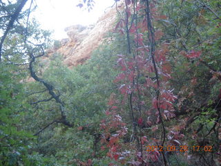 Mesa Verde National Park