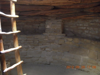 132 81u. Mesa Verde National Park - cliff dwellings - ladder