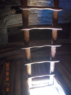 Mesa Verde National Park - cliff dwellings - ladder