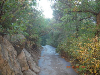 141 81u. Mesa Verde National Park