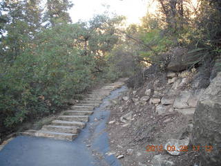 Mesa Verde National Park - cliff dwellings - ladder