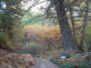 Mesa Verde National Park - cliff dwellings - ladder