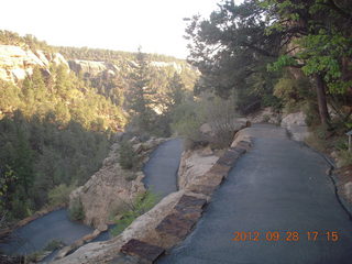 Mesa Verde National Park - cliff dwellings - ladder