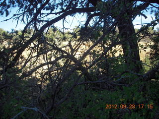 Mesa Verde National Park - cliff dwellings