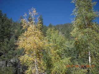 Durango-Silverton Narrow Gauge Railroad