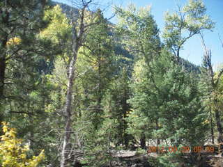 Durango-Silverton Narrow Gauge Railroad