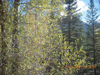 Durango-Silverton Narrow Gauge Railroad