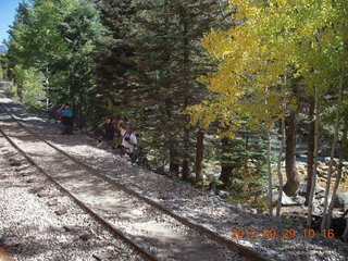 141 81v. Durango-Silverton Narrow Gauge Railroad