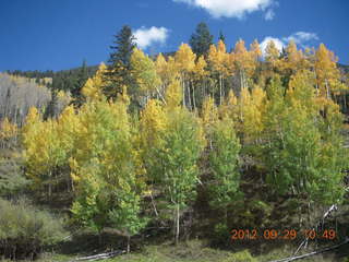 Durango-Silverton Narrow Gauge Railroad