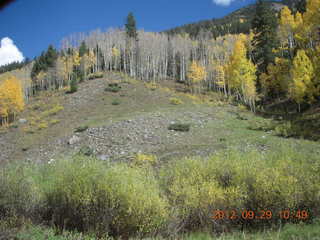 Durango-Silverton Narrow Gauge Railroad