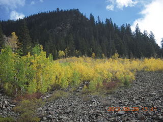 Durango-Silverton Narrow Gauge Railroad